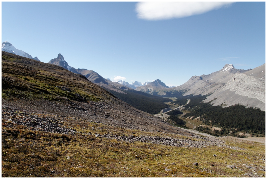 06 - Icefields Parkway (13).jpg